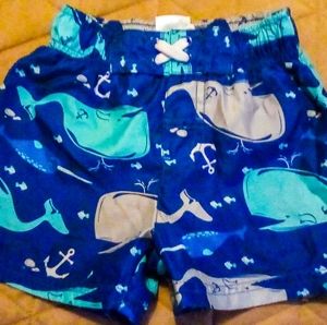 18 Month Circo Swimming Trunks